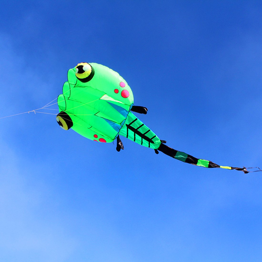 9KM 2㎡~8㎡ Pilot Lifter Tadpole Kite Single Line Soft Inflatable Line Laundry Show Kite Best 30D Ripstop Nylon Fabric