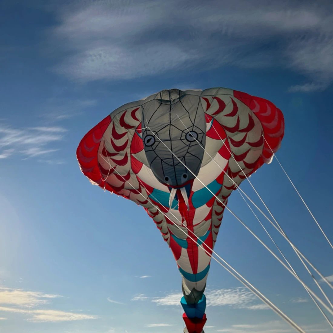 9KM 20m Cobra Kite Line Laundry Kite Pendant Soft Inflatable Show Kite for Kite Festival 30D Ripstop Nylon with Bag