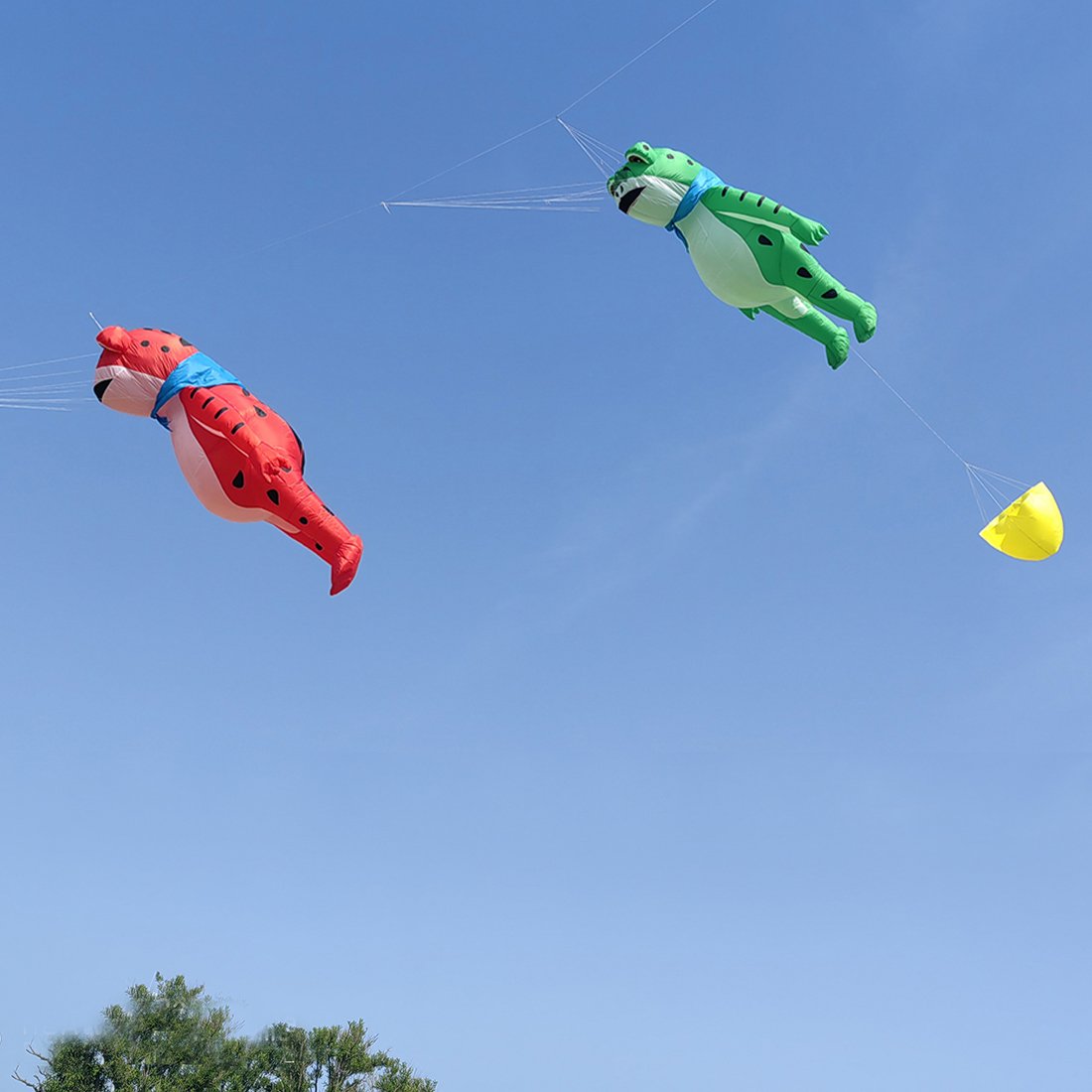 9KM 5m Frog Kite Line Laundry Pendant Soft Inflatable Show Kite for Kite Festival 30D Ripstop Nylon Fabric (Accept wholesale)