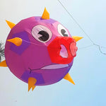 Lade das Bild in den Galerie-Viewer, 9KM 2.5m Pig Ball Kite Line Laundry Kite Soft Inflatable Show Kite Pendant 30D Ripstop Nylon with Bag for Kite Festival
