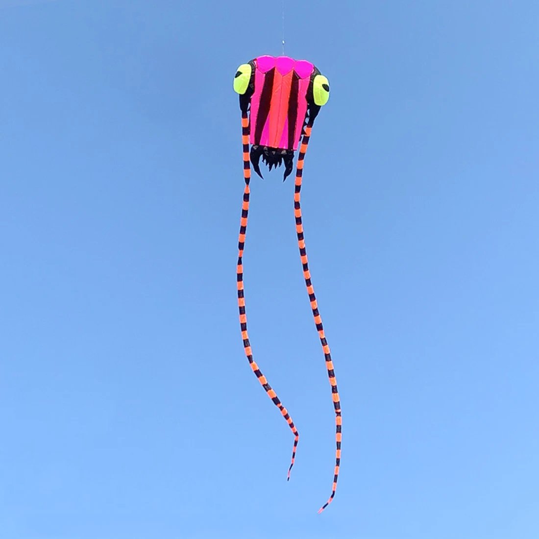 9KM Kite 2㎡ Trilobite Kite 7.45m Soft Inflatable Line Laundry Show Kite 30D Ripstop Nylon Fabric With Swivels & Bag