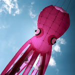 Lade das Bild in den Galerie-Viewer, 9KM 12m Octopus Kite Line Laundry Pendant Soft Inflatable Show Kite for Kite Festival 30D Ripstop Nylon with Bag
