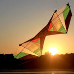 Load image into Gallery viewer, Freilein 4 Line Stunt Kite 2.4m Beginner Acrobatic Beach Sports Kite 4 x 30m x 90lb Flying Lines + 33cm Control Handle + Bag
