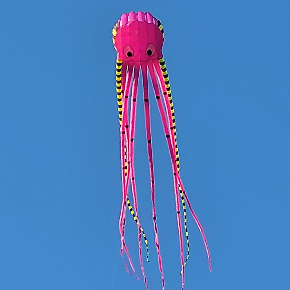 9KM 13color Big Octopus Kite 8m Large Single Line Soft Inflatable Kite