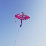 Lade das Bild in den Galerie-Viewer, 3D Unicorn Horse Kite Nylon Single Line Kite
