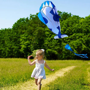 3D Dolphin Software Kite Single Line Kites