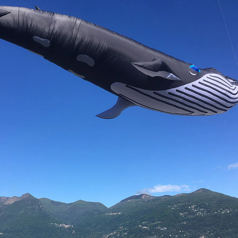 9m Whale Kite Line Laundry Soft Inflatable Kite