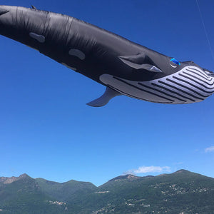 9m Whale Kite Line Laundry Soft Inflatable Kite