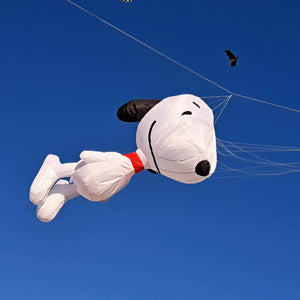 3.5m Dog Kite Line Laundry Soft Inflatable Kite