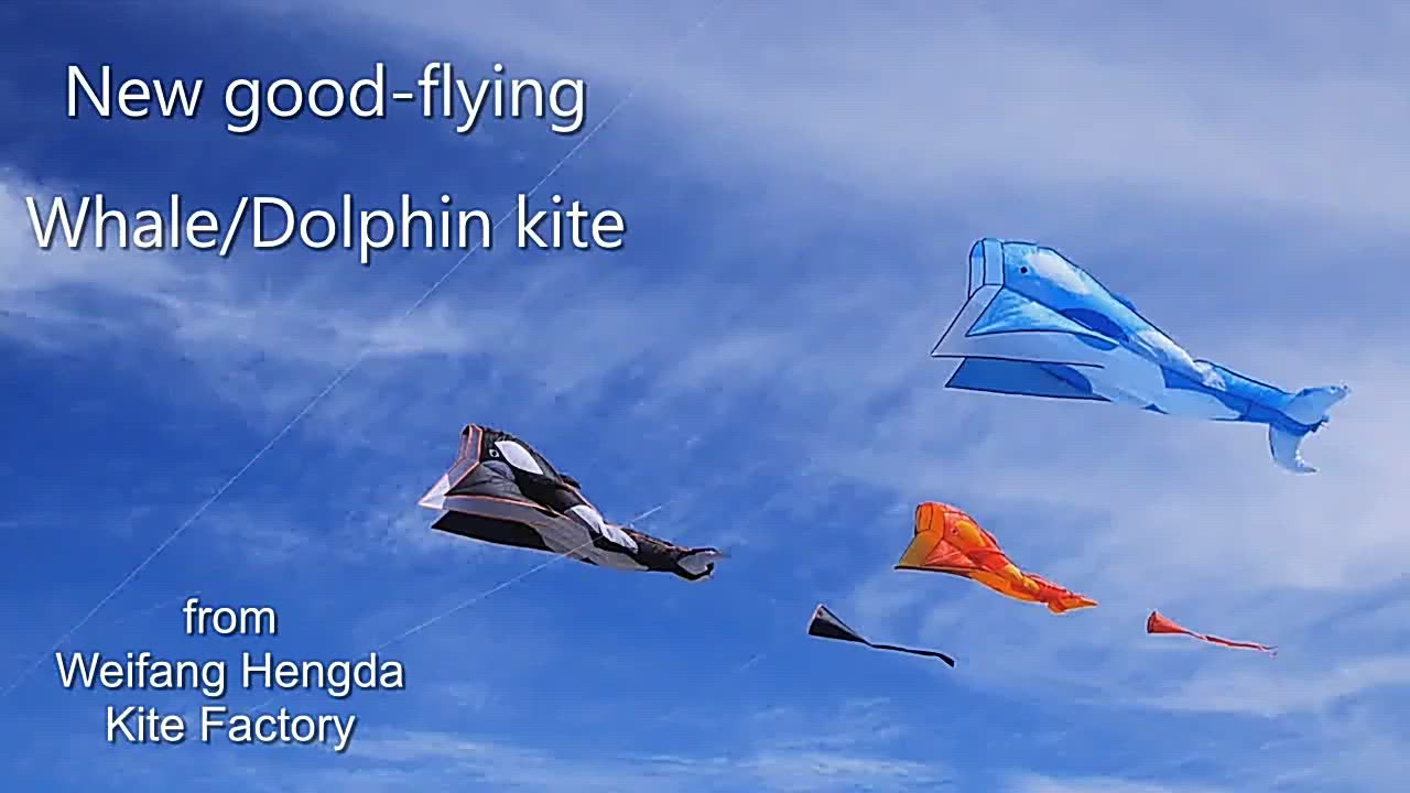 3D Dolphin Software Kite Single Line Kites