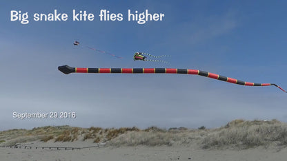 55m Snake Kite Big Single Line Soft Inflatable Kite with Bag