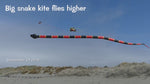 Laden und Abspielen von Videos im Galerie-Viewer, 55m Snake Kite Big Single Line Soft Inflatable Kite with Bag
