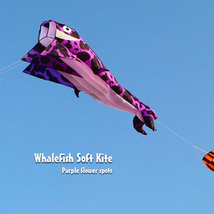 3D Dolphin Software Kite Single Line Kites