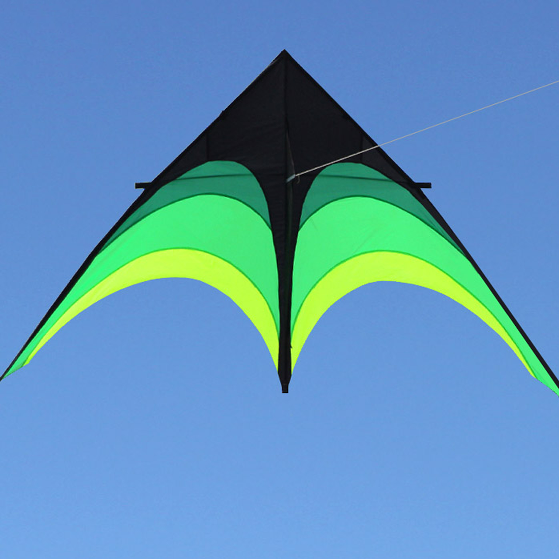 Grassland Colours Kite