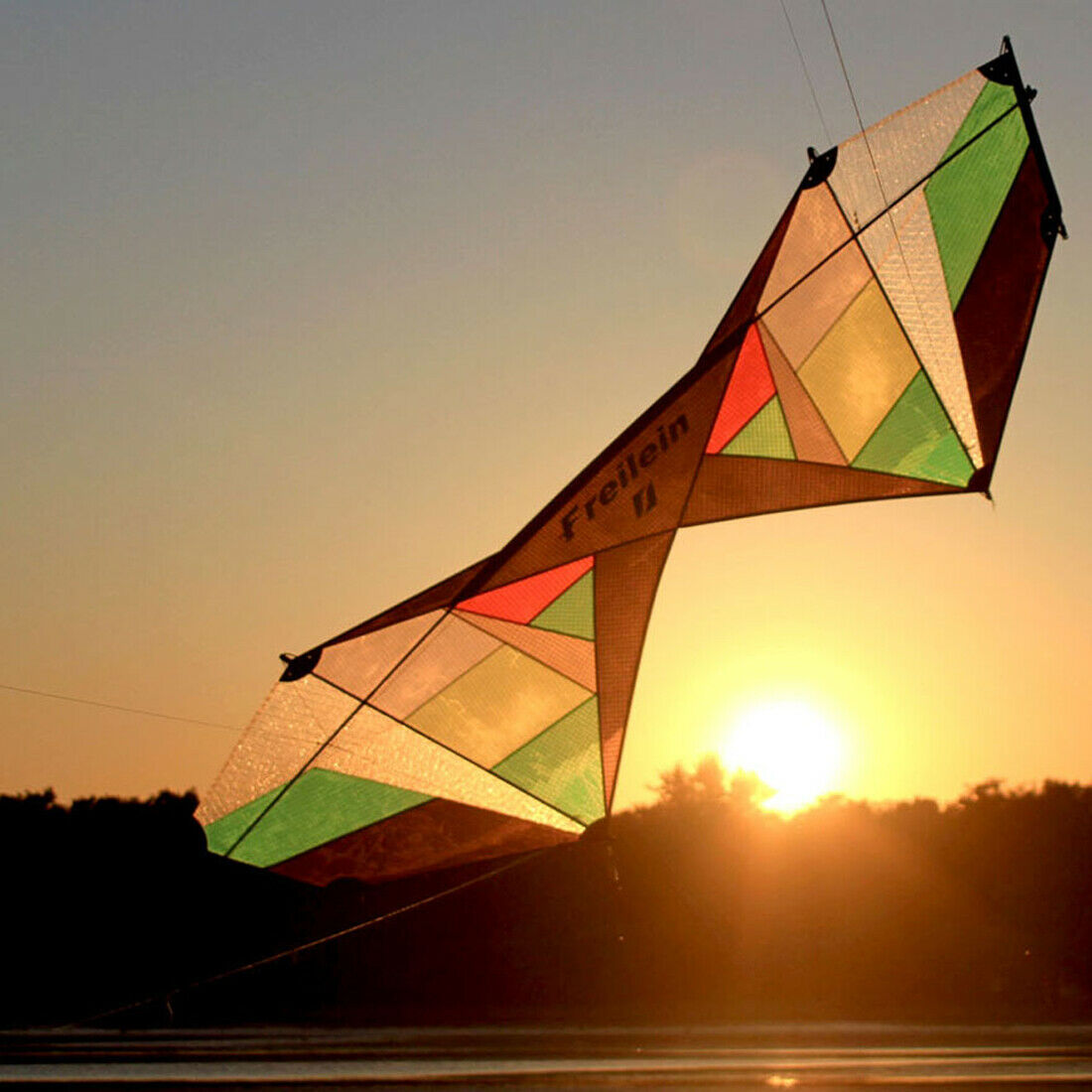 Professional Windrider Transeye Stunt Quad Line Kite