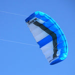 Load image into Gallery viewer, 2sqm Power Trainer Kite with Flying Sets
