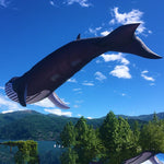 Load image into Gallery viewer, 9m Whale Kite Line Laundry Soft Inflatable Kite
