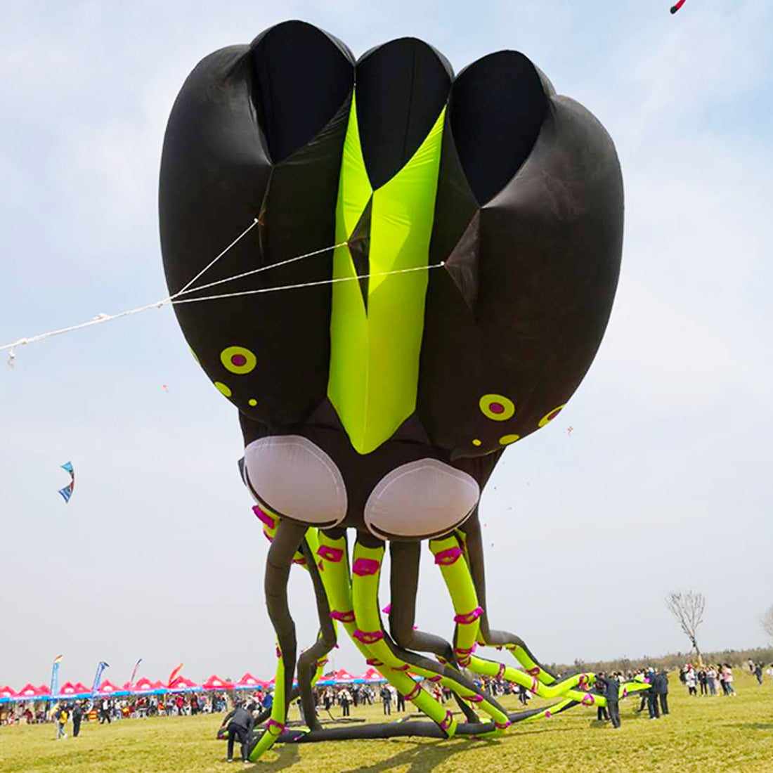 12m~18m Octopus Kite 30D Ripstop Nylon with Bag