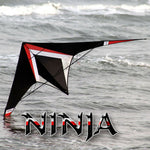 Lade das Bild in den Galerie-Viewer, Freilein Ninja 2.36m Dual Line Stunt Kite
