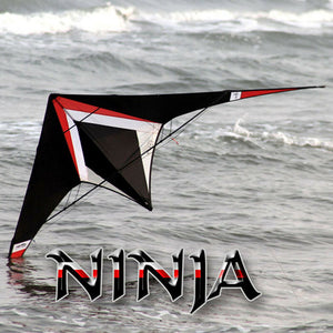 Freilein Ninja 2.36m Dual Line Stunt Kite