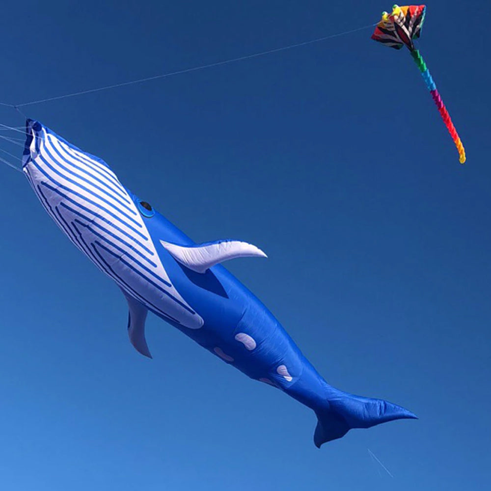 9m Whale Kite Line Laundry Soft Inflatable Kite