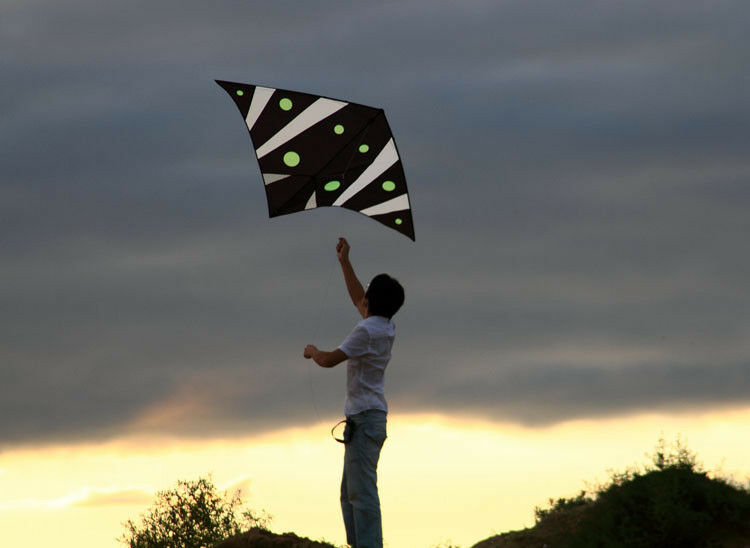 70" Indoor Floating Zero Wind Single Line Delta Kite