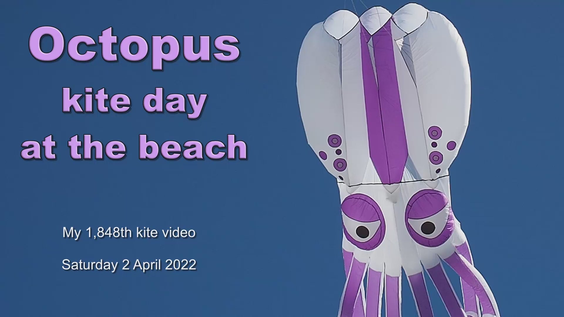 12m~18m Octopus Kite 30D Ripstop Nylon with Bag