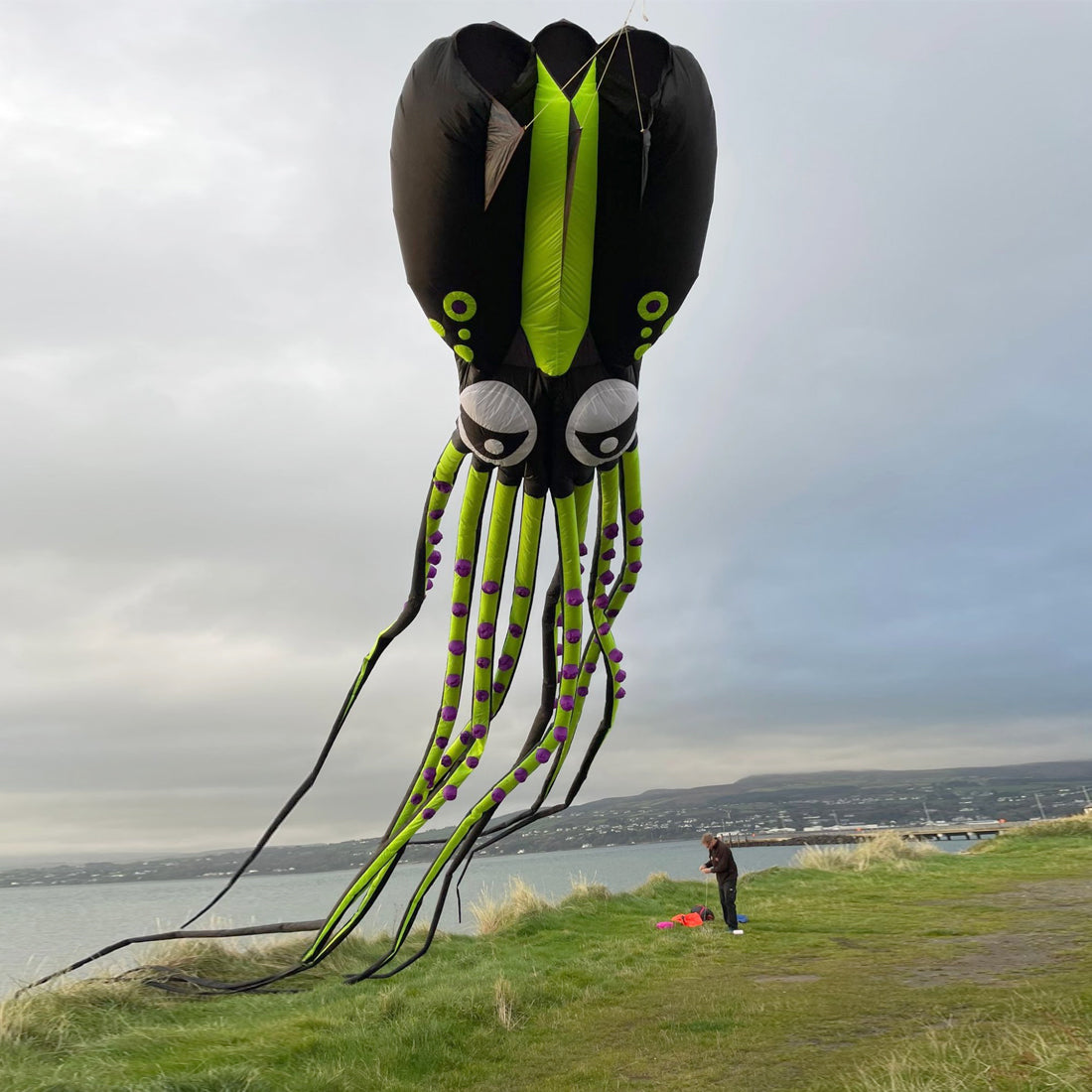 12m~18m Octopus Kite 30D Ripstop Nylon with Bag