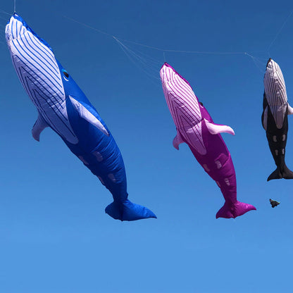 9m Whale Kite Line Laundry Soft Inflatable Kite