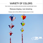 Load image into Gallery viewer, 62&quot; Windsocks Rainbow Kite Socks Garden Decoration
