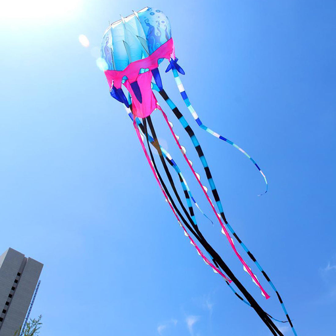 9m Jellyfish Kite Outdoor Soft Inflatable Single Line Kite