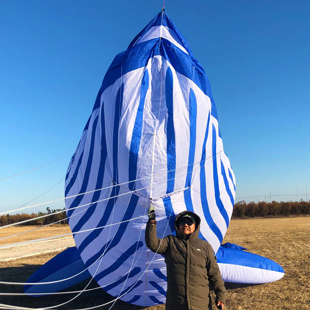 9m Whale Kite Line Laundry Soft Inflatable Kite