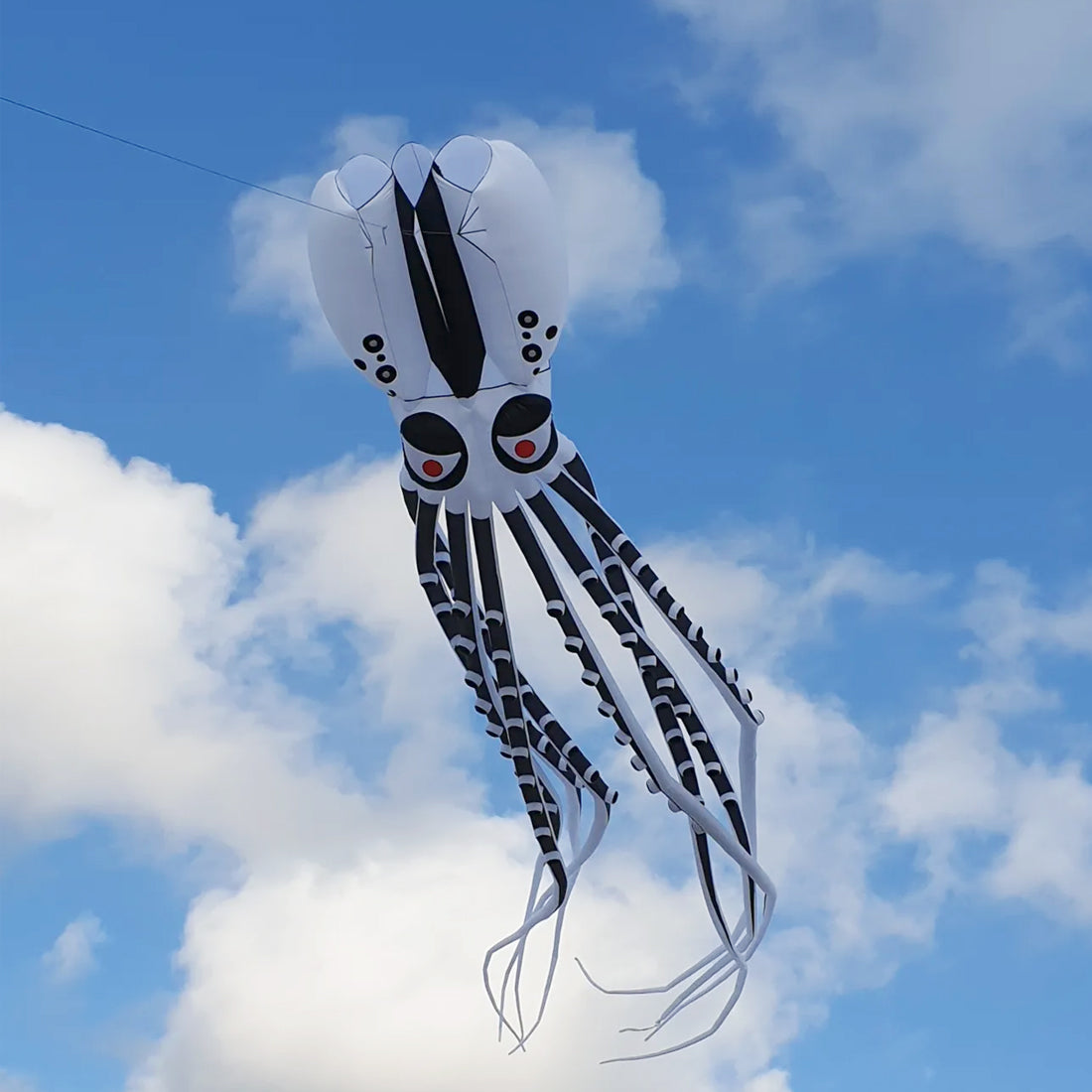 12m~18m Octopus Kite 30D Ripstop Nylon with Bag