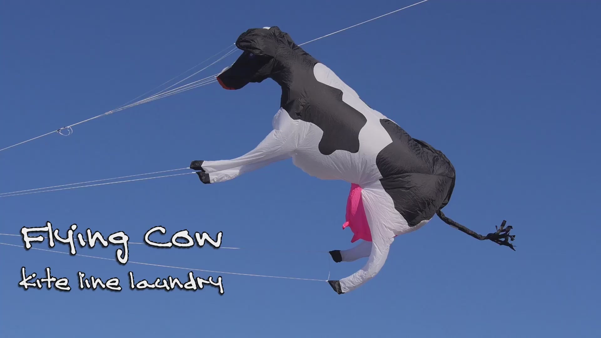 3m Cow Line Laundry Kite Soft Inflatable Cow Kite with Bag