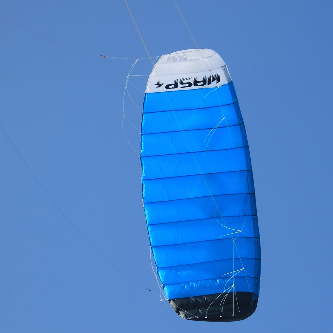 Professional 4~5㎡ 4 Line Power Traction Kite