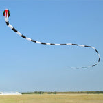 Load image into Gallery viewer, 55m Snake Kite Big Single Line Soft Inflatable Kite with Bag
