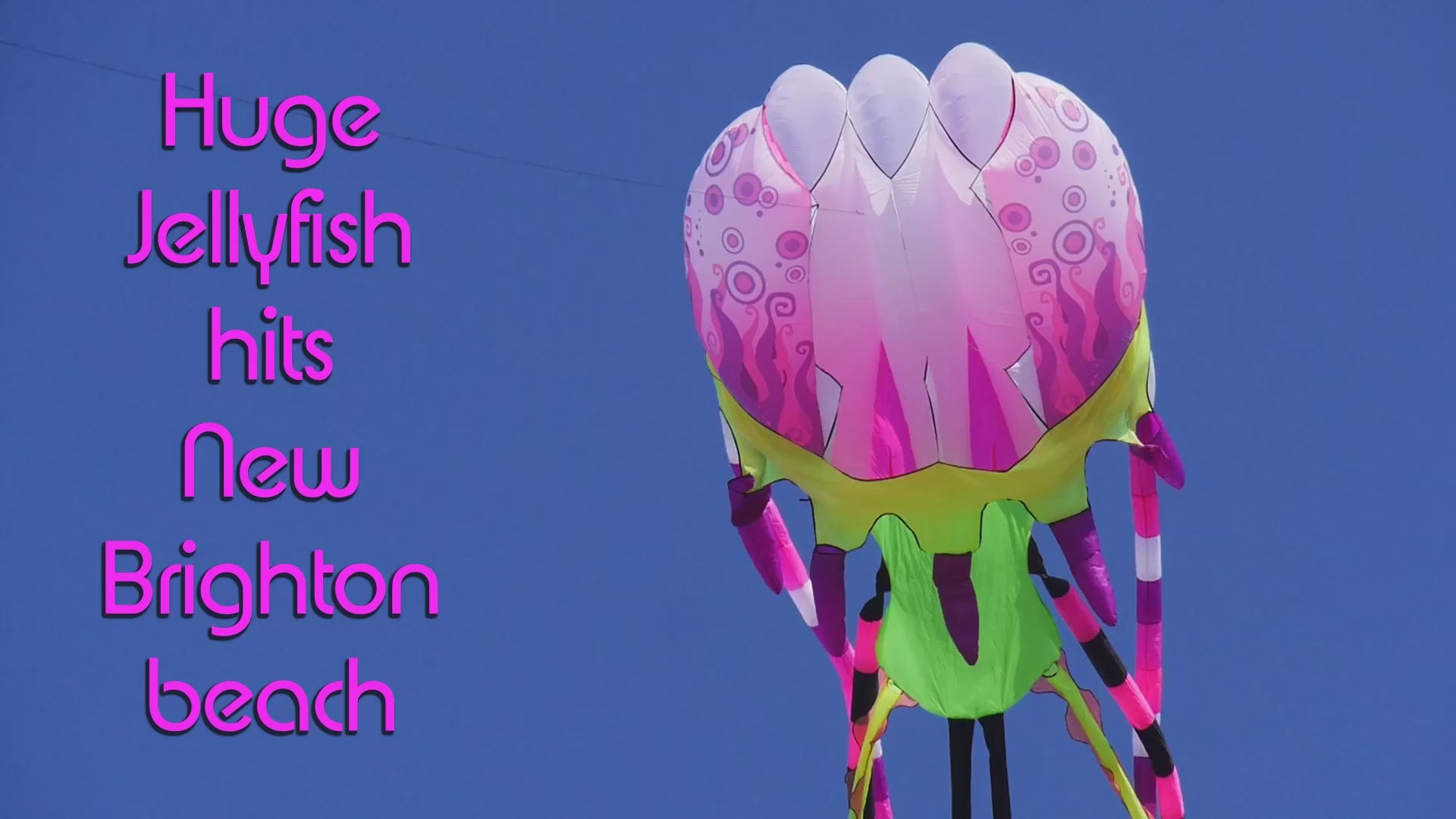 9m Jellyfish Kite Outdoor Soft Inflatable Single Line Kite