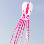 Load image into Gallery viewer, 12m~18m Octopus Kite 30D Ripstop Nylon with Bag
