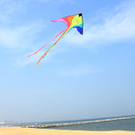 Load image into Gallery viewer, 98in Rainbow Phoenix Kite
