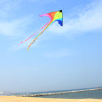 Lade das Bild in den Galerie-Viewer, 98in Rainbow Phoenix Kite
