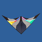 Load image into Gallery viewer, 2.8M Fantasy Tulips Delta Sport Kite
