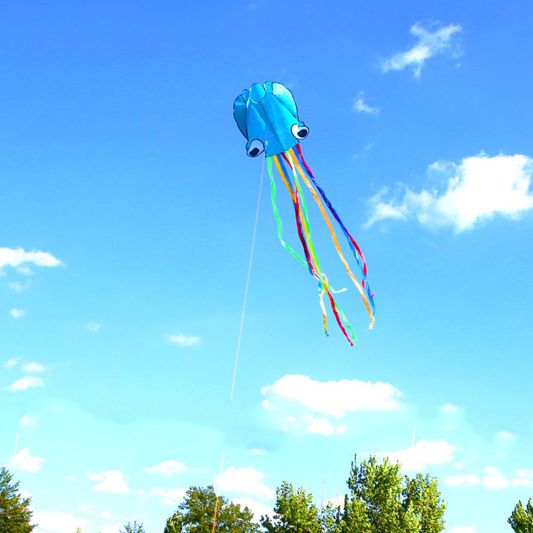 4m Software Octopus Kite Single Line Beach Kites