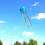 Lade das Bild in den Galerie-Viewer, 4m Software Octopus Kite Single Line Beach Kites
