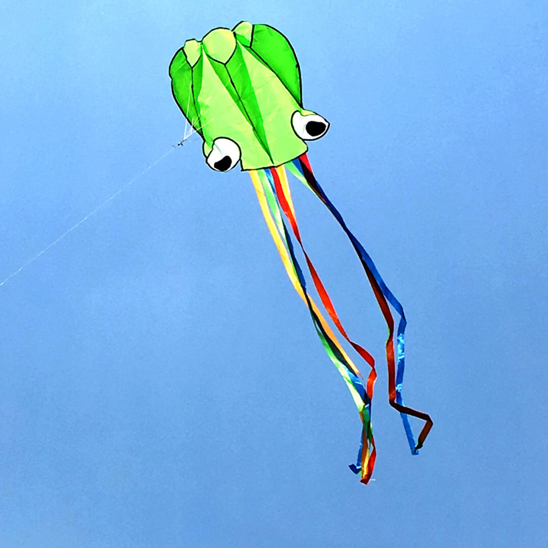 4m Software Octopus Kite Single Line Beach Kites