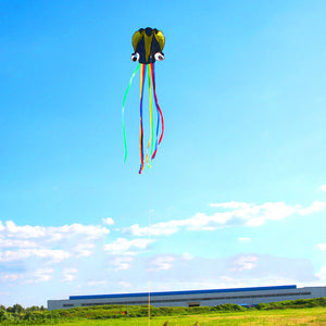 4m Software Octopus Kite Single Line Beach Kites