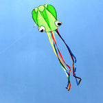 Lade das Bild in den Galerie-Viewer, 4m Software Octopus Kite Single Line Beach Kites
