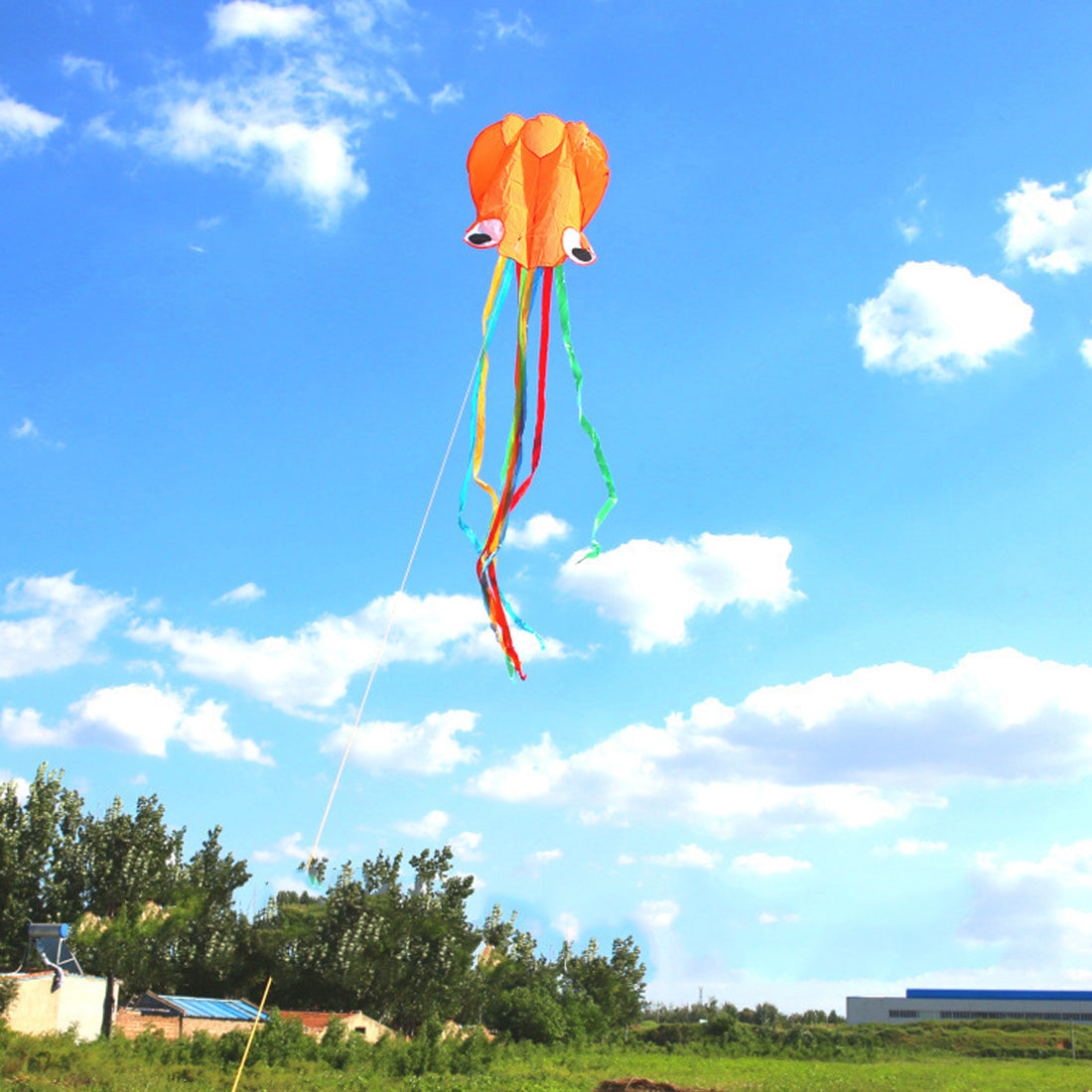 4m Software Octopus Kite Single Line Beach Kites