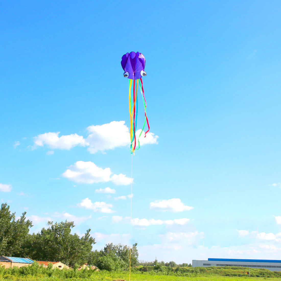 4m Software Octopus Kite Single Line Beach Kites