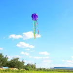 Lade das Bild in den Galerie-Viewer, 4m Software Octopus Kite Single Line Beach Kites
