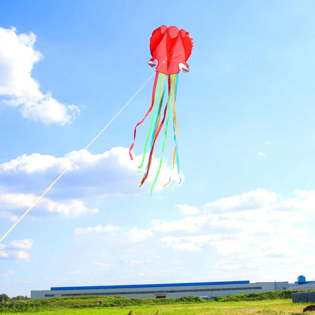 4m Software Octopus Kite Single Line Beach Kites